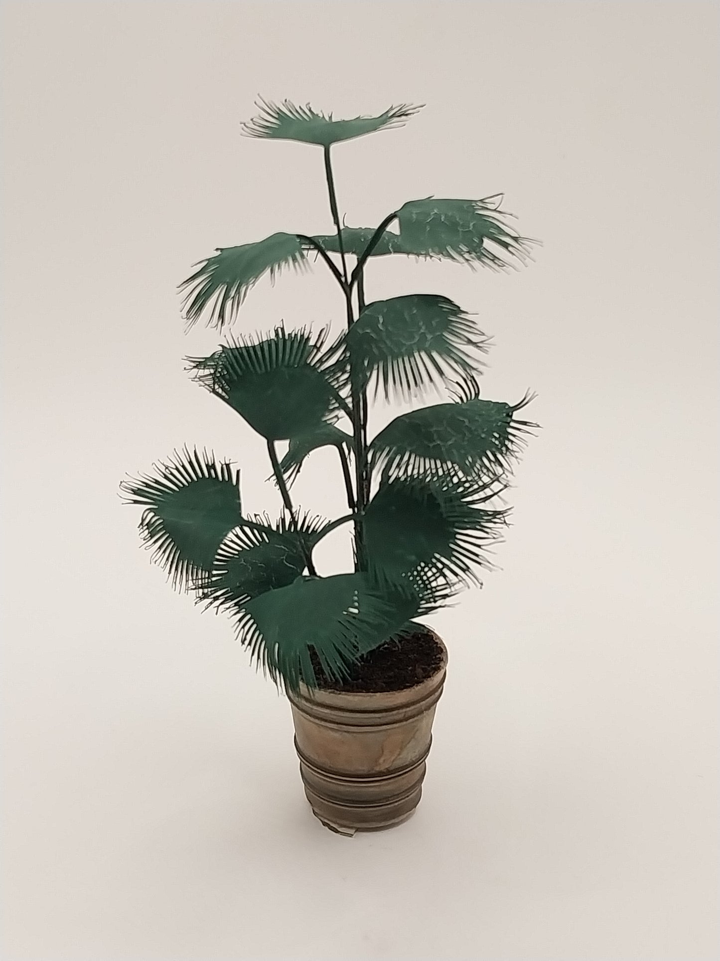 Palm Plant In Aged Pot