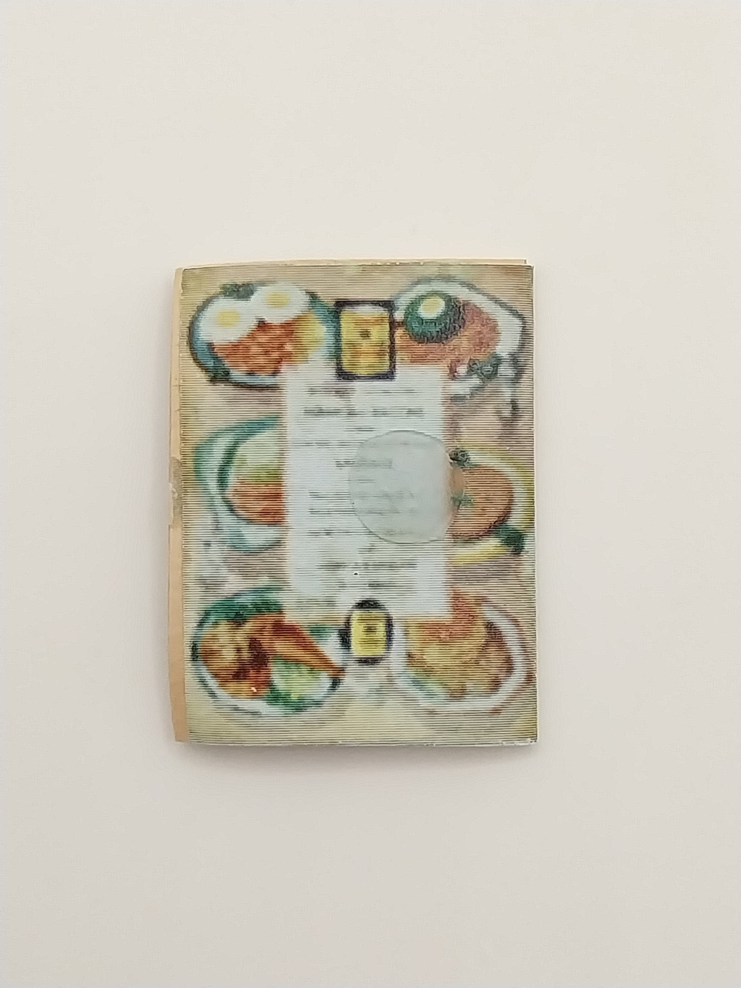 Vintage Meat Curing Book