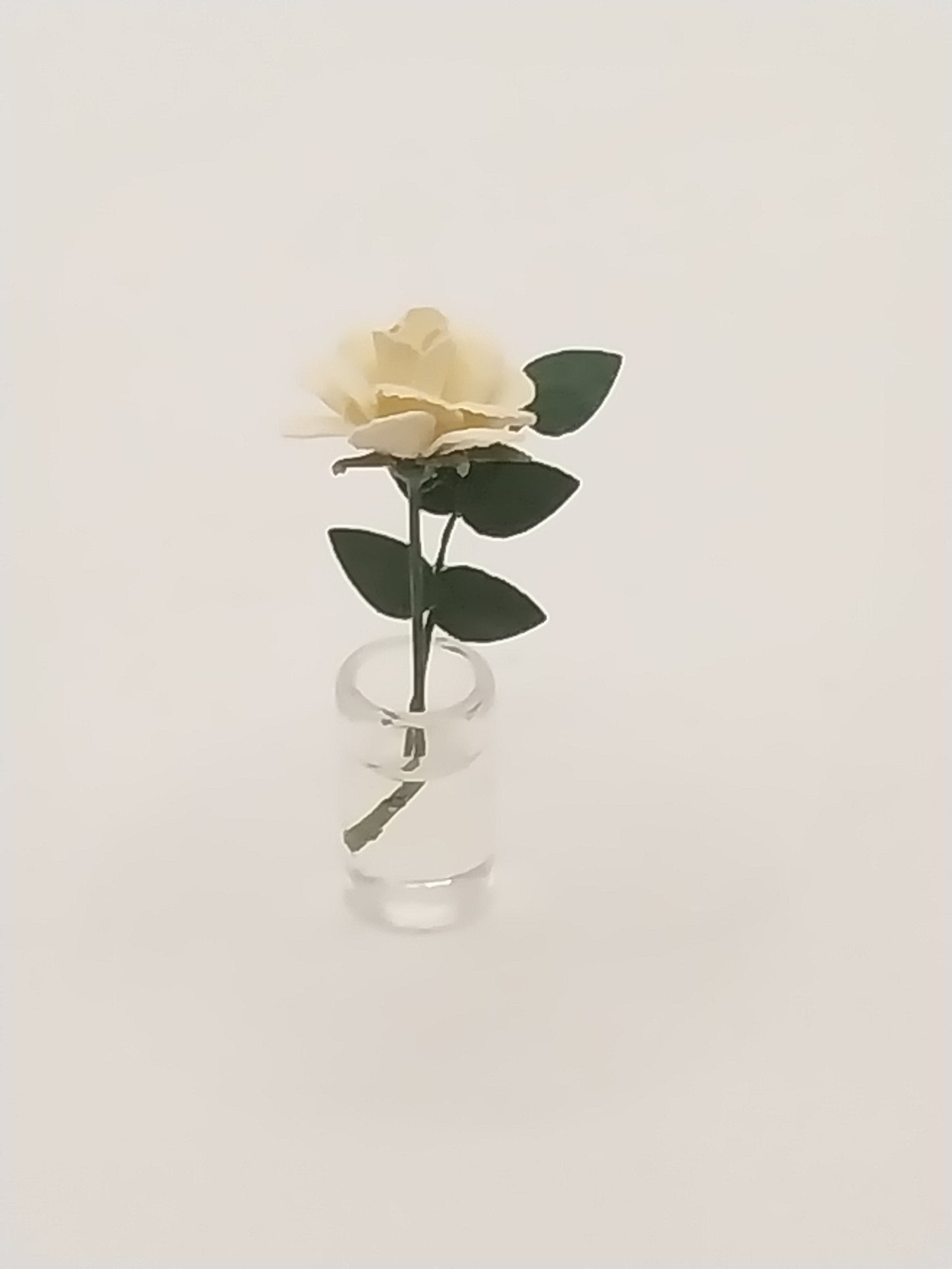 White Rose In Water Glass