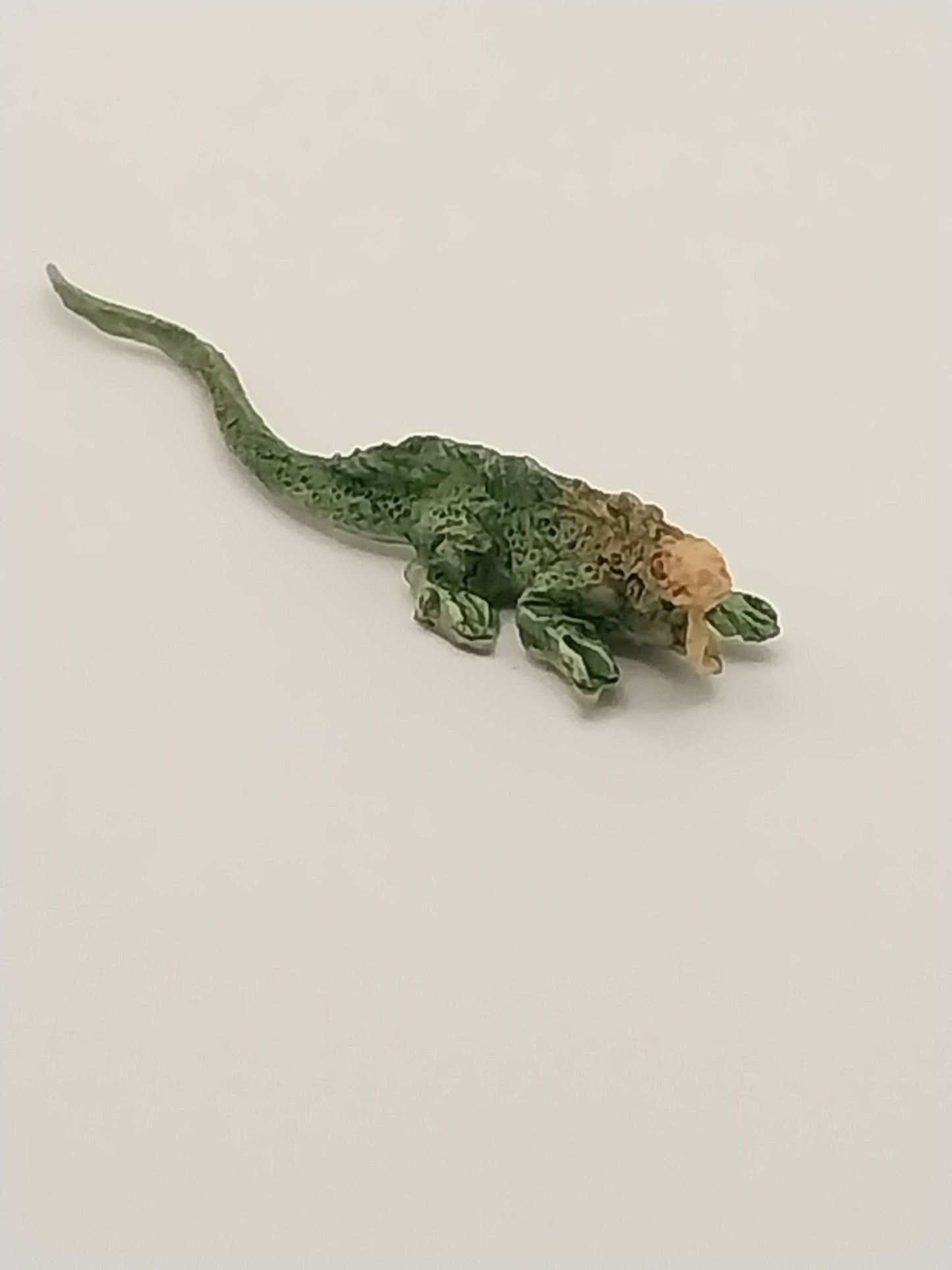 Iguana, DISC