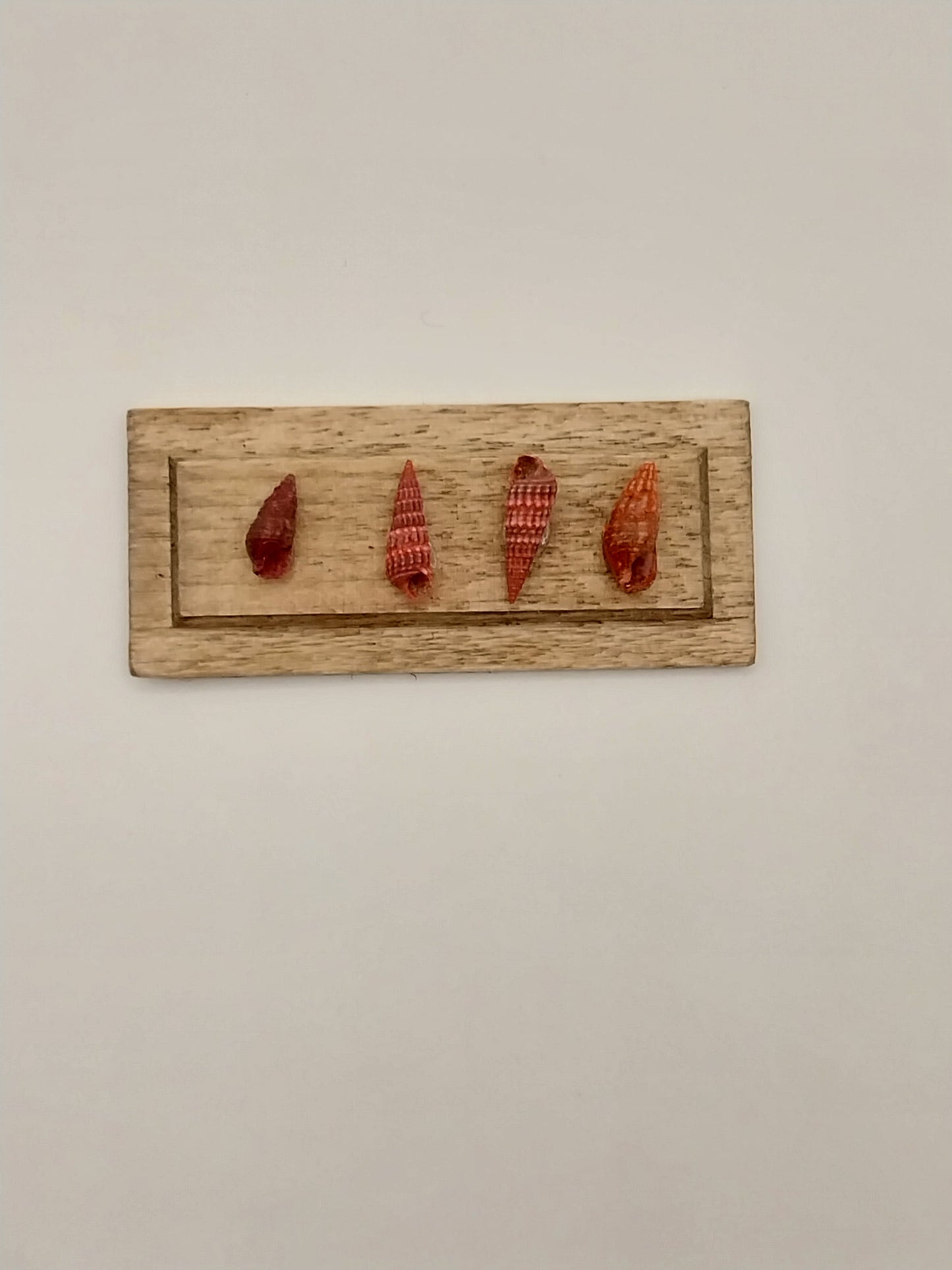 Shell Wall Plaque, Rectangle, Red Shells