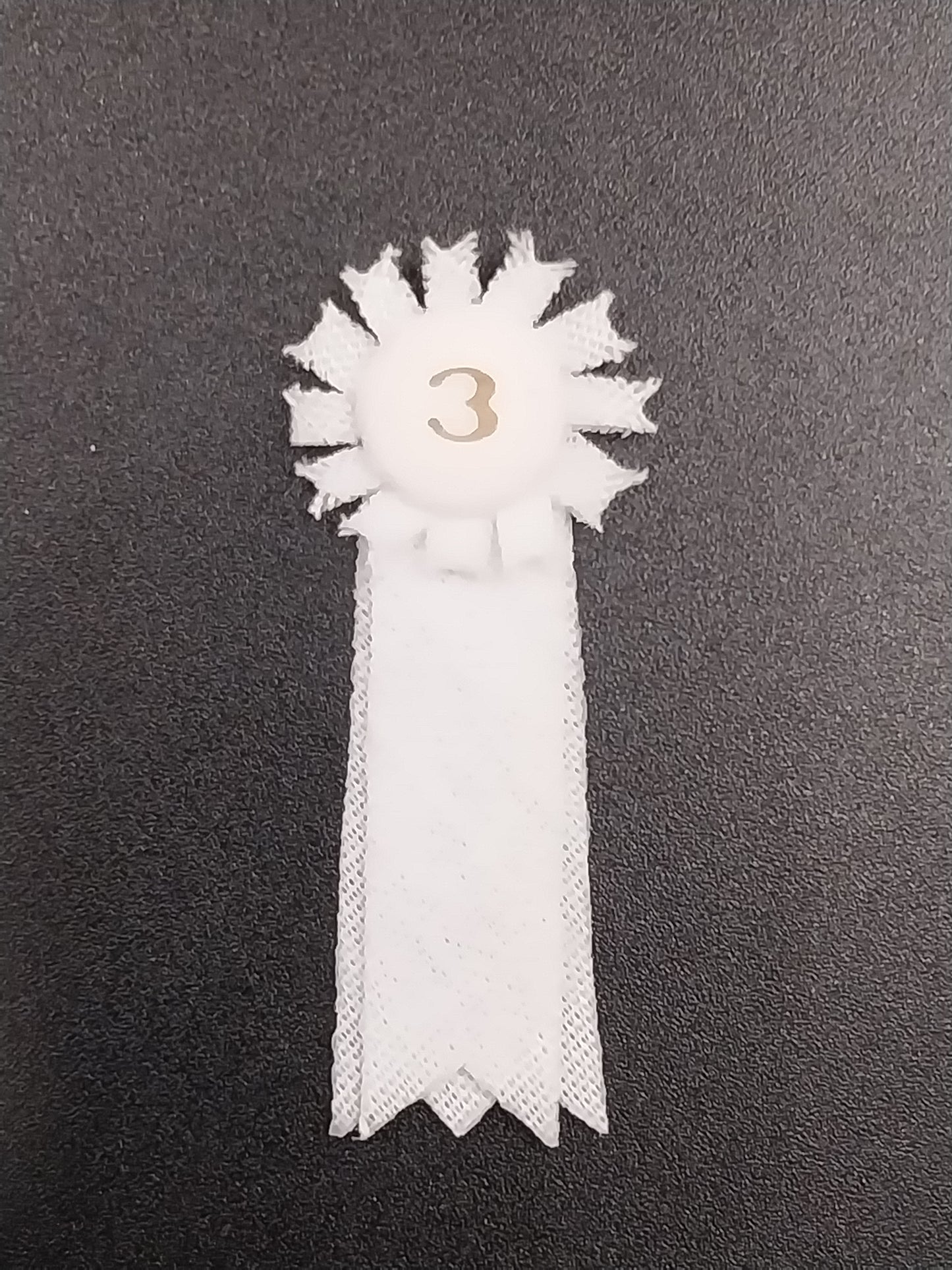 Horse White Ribbon, 3rd Place