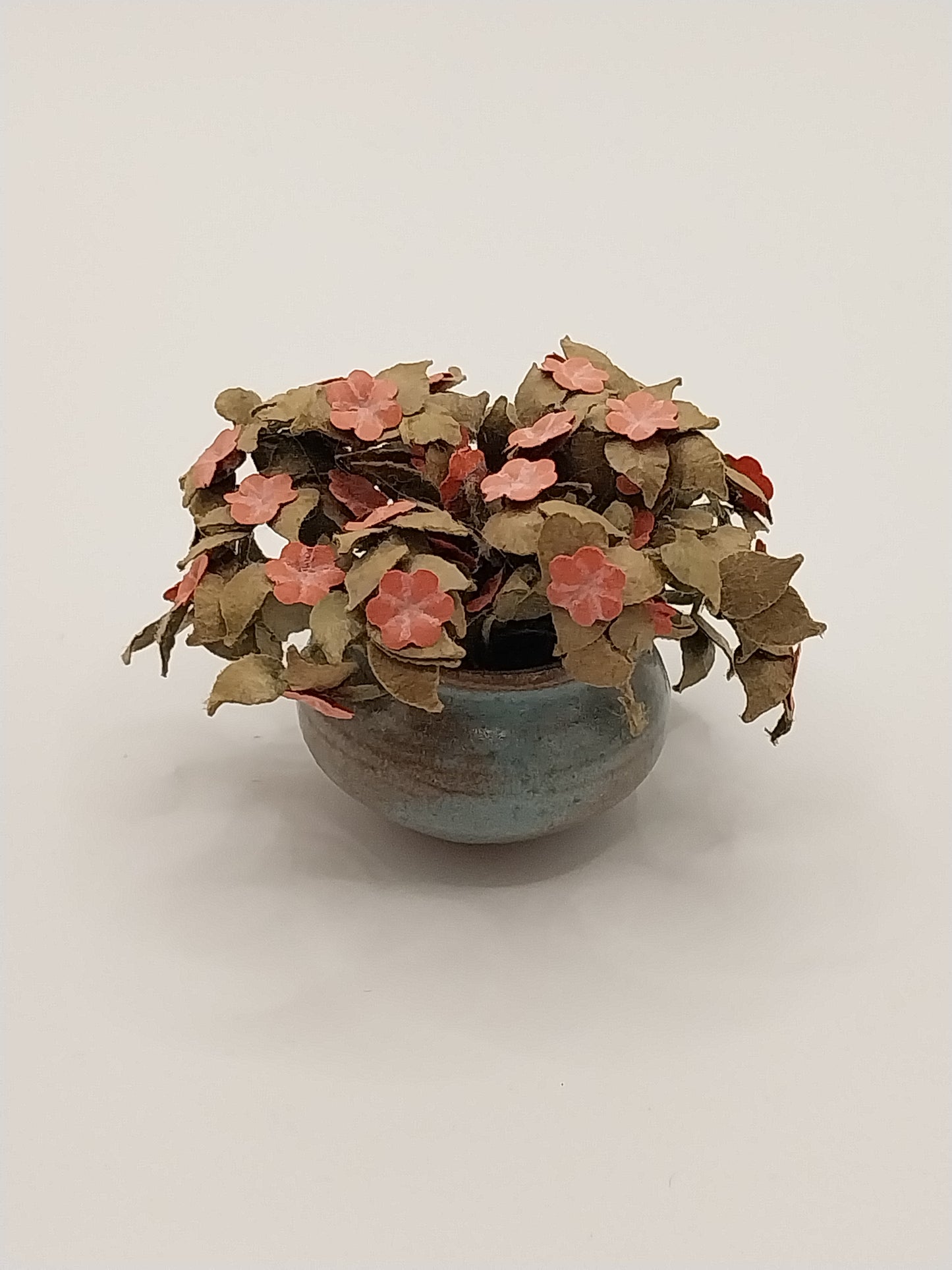 Petunia Plant in Pot