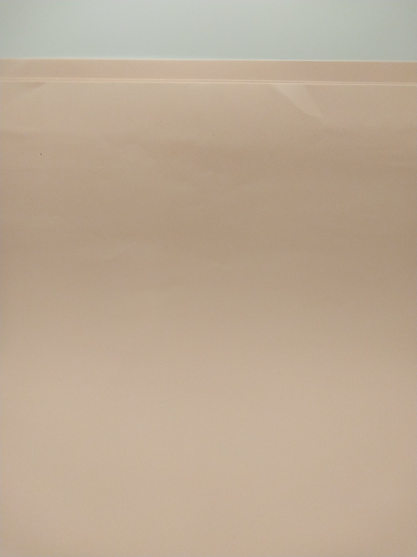 French Bouquet Solid Blush Wallpaper