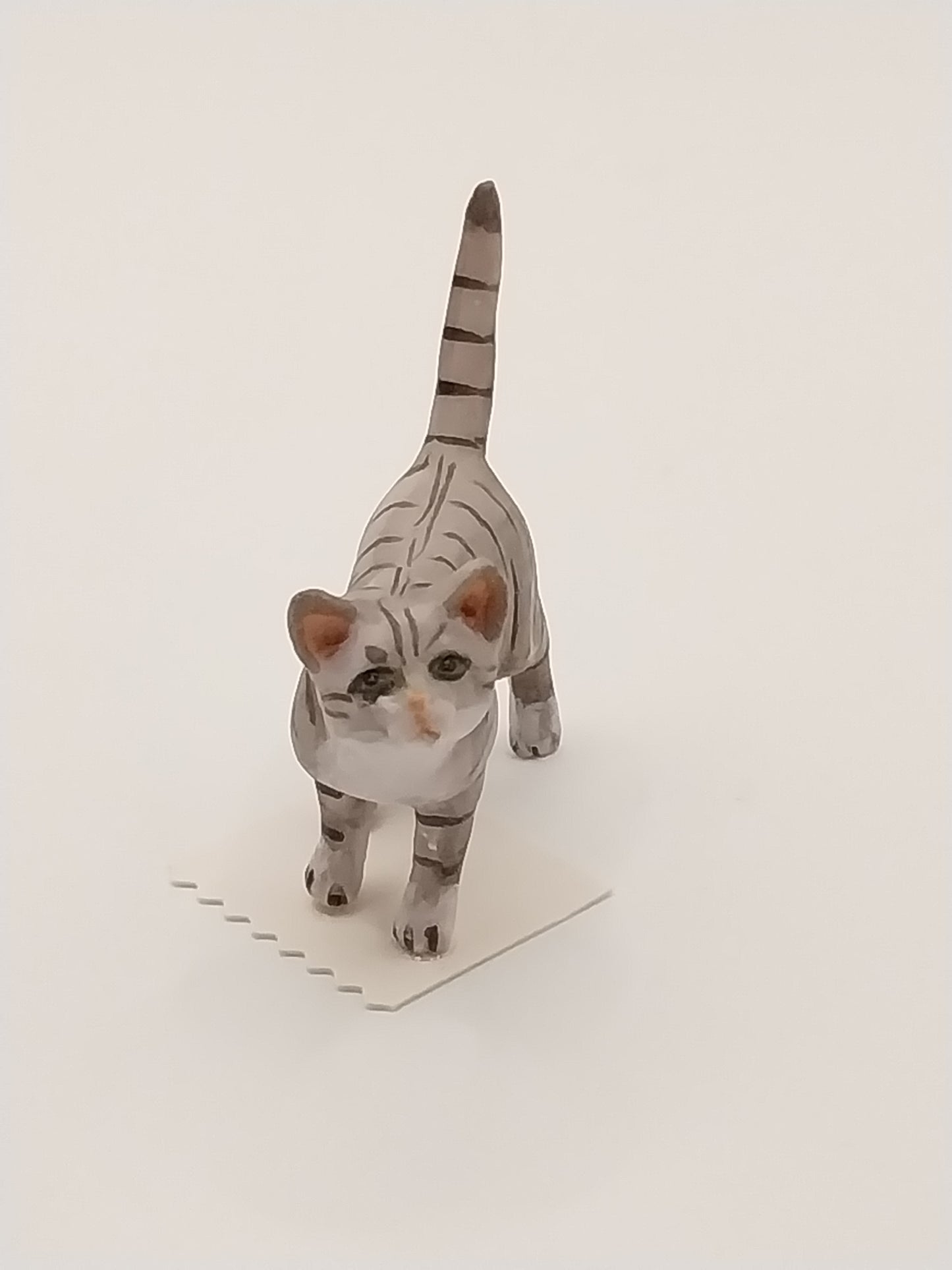 Cat Walking Tail Up, Grey Tabby