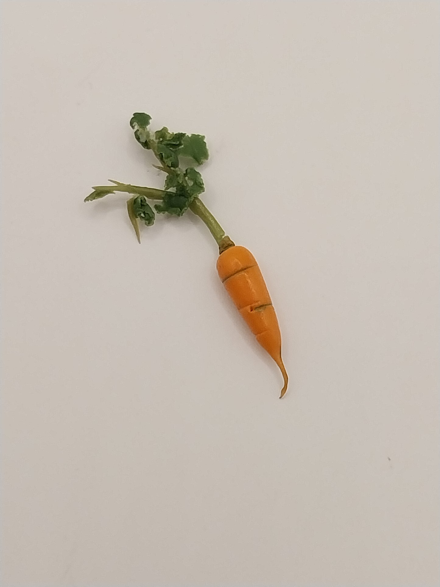 Carrot with Stalk, 1pc