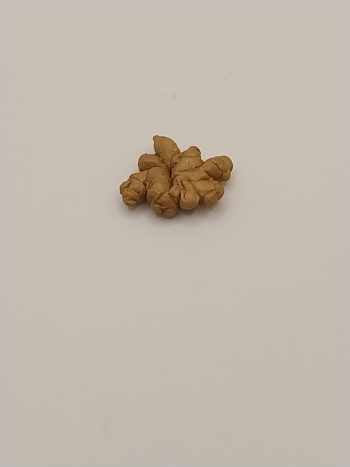 Ginger Root, 1pc