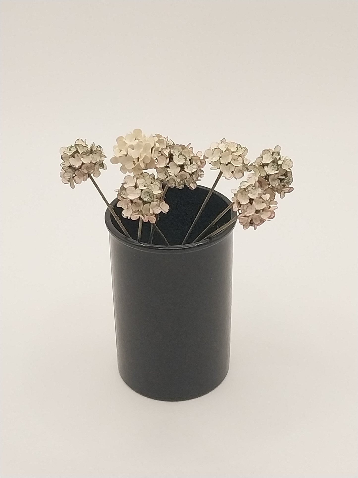 Hydrangea Stem, White & Green, Handmade, 1pc