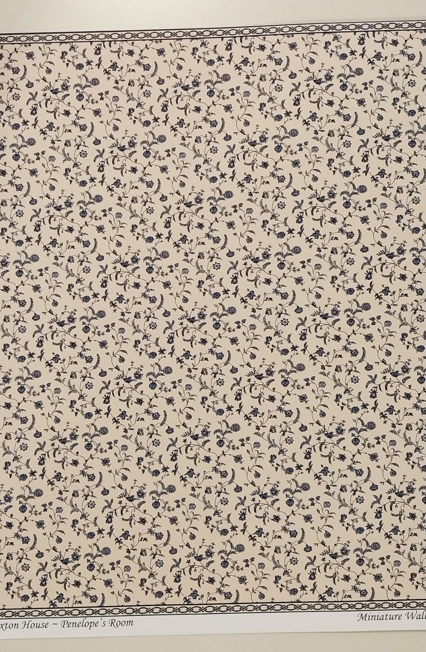 Paxton House, Penelope's Room Wallpaper