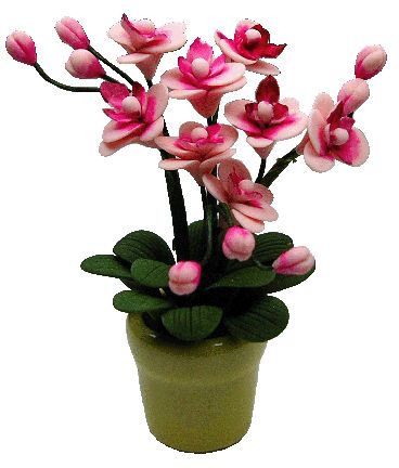 Pink Orchid Arrangemnt, Yellow Pot