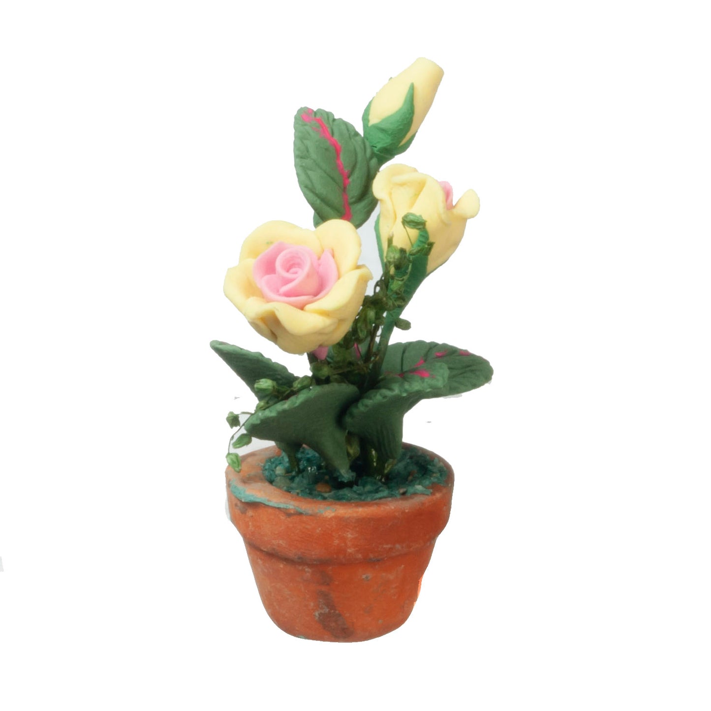 Yellow & Pink Roses In Pot