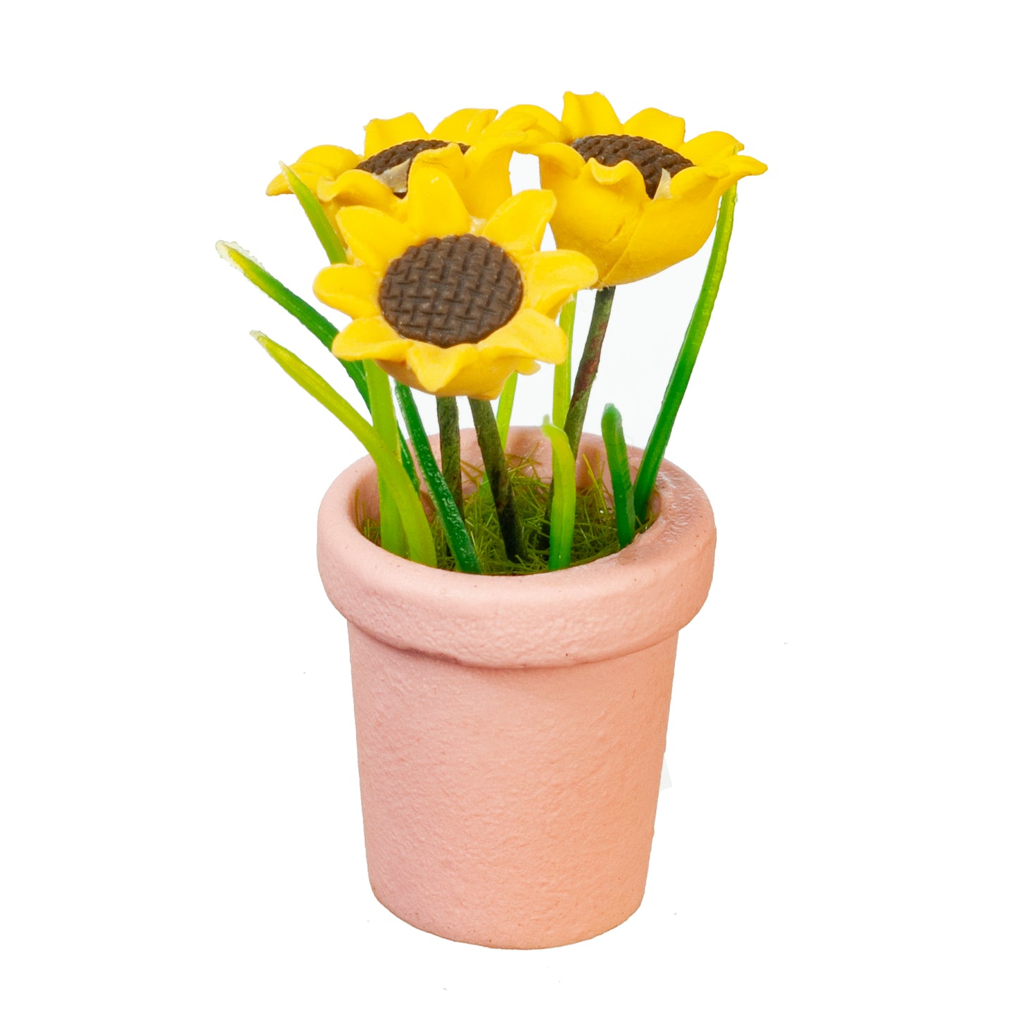 Sunflower In Pot