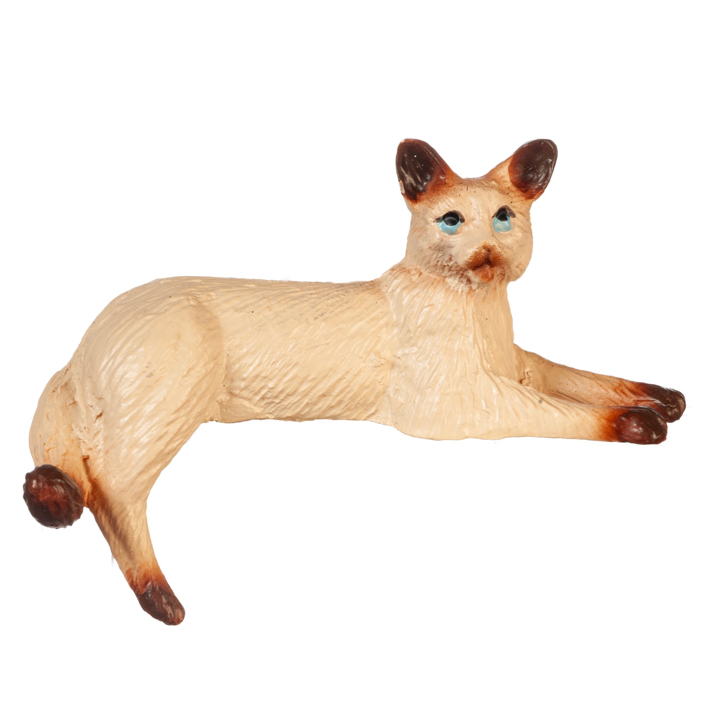 Cat, Back Leg Down, Siamese