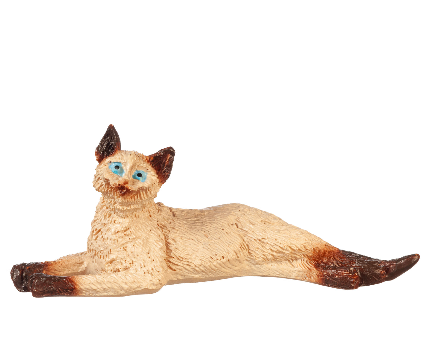 Cat, Stretched, Siamese