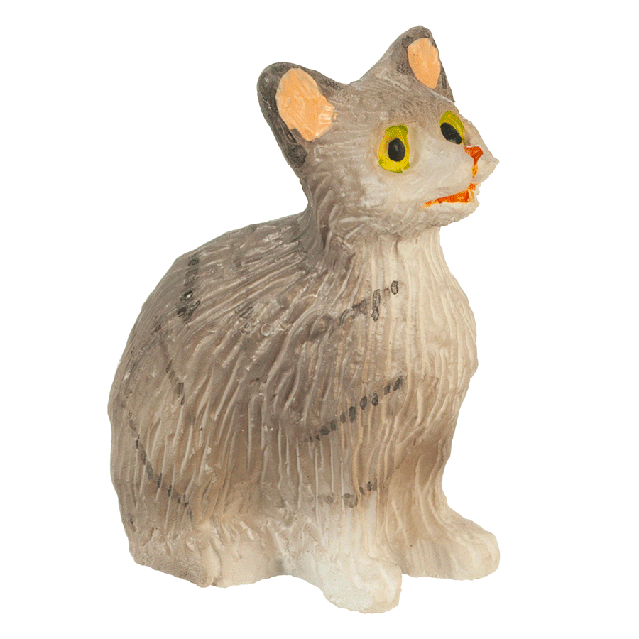 Cat, Sitting With Eyes Open, Gray