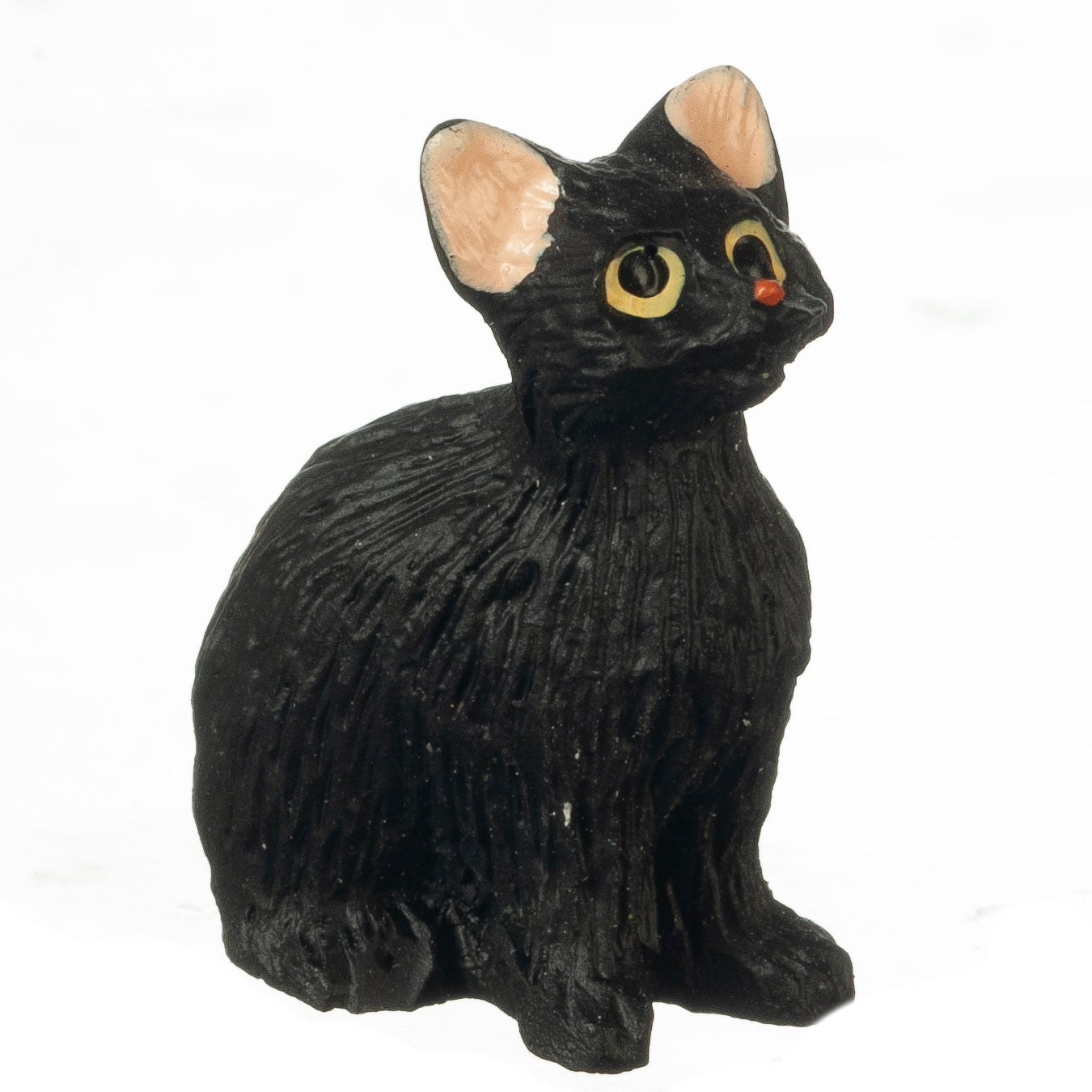 Cat, Sitting With Eyes Open, Black