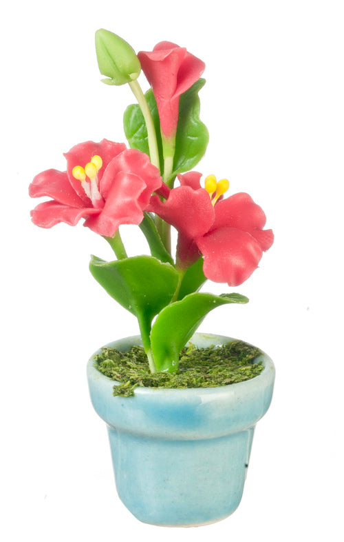Hibiscus in Pot, Red