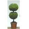 Topiary, Small Round, 2 Balls