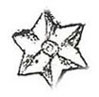 Large Star, 4pc