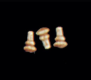 CMS156, Wooden Knob Pulls, 18pc