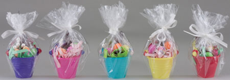 Wrapped Pail With Bunny, Assorted, 1pc
