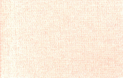 Carpet Peach Mist, Large