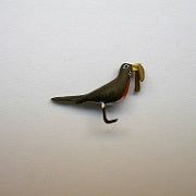 Robin Bird with Worm