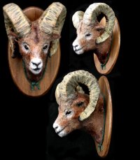Big Horned Sheep Head Plaque