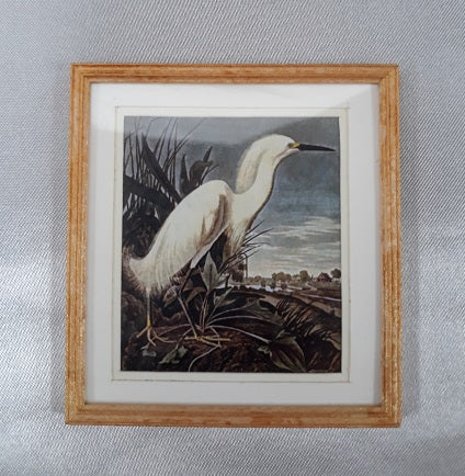 Framed Print, Egret