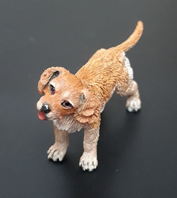 Golden Retriever Puppy, Eli