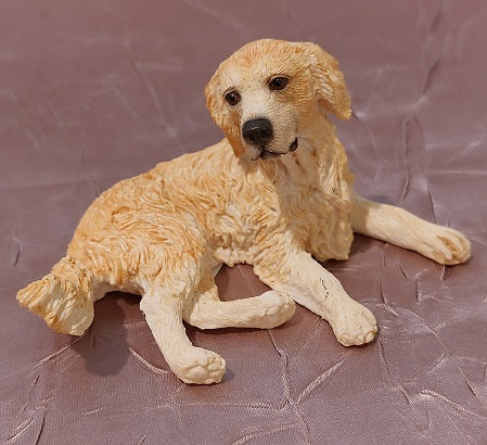 Golden Retriever Dog, Gold, Laying, DISC