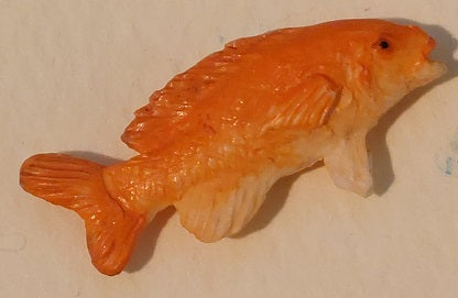 Red Snapper Fish, DISC