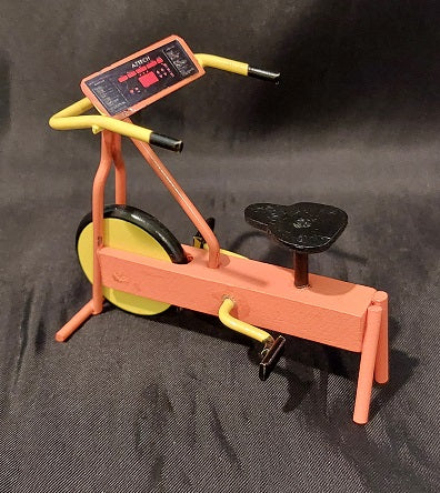 Exercise Bicycle, DISC