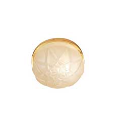 Frosted Ceiling Light