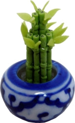 planters for lucky bamboo Lucky Bamboo in Planter – Miniature Designs, Inc