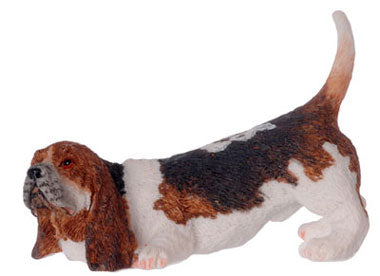 Basset Hound Dog Sniffing