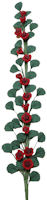 Red Climbing Rose Vine