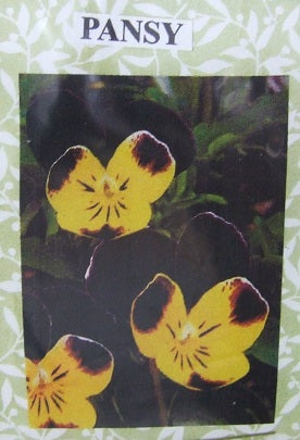 Pansy Flower Kit