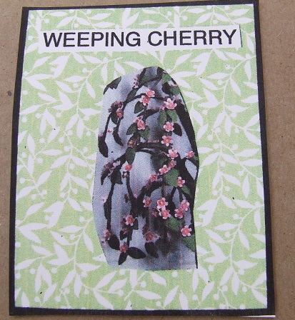 Weeping Cherry Flower Kit