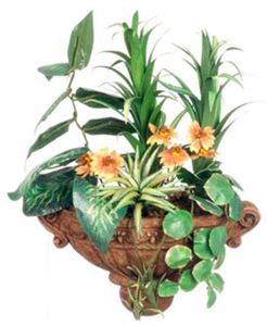 Mixed Plants in Wall Planter