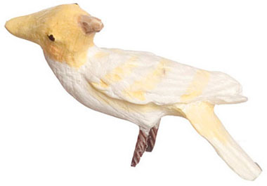 Lutino Cockatoo