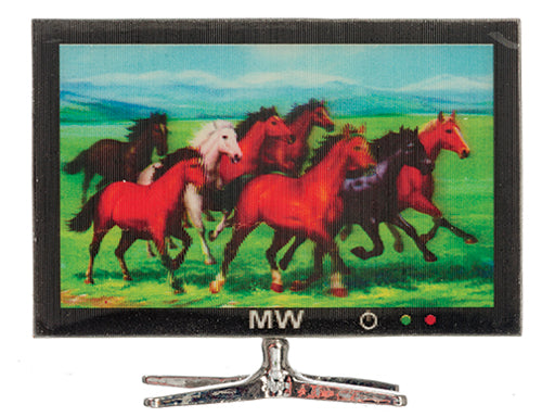 Flat Screen Television