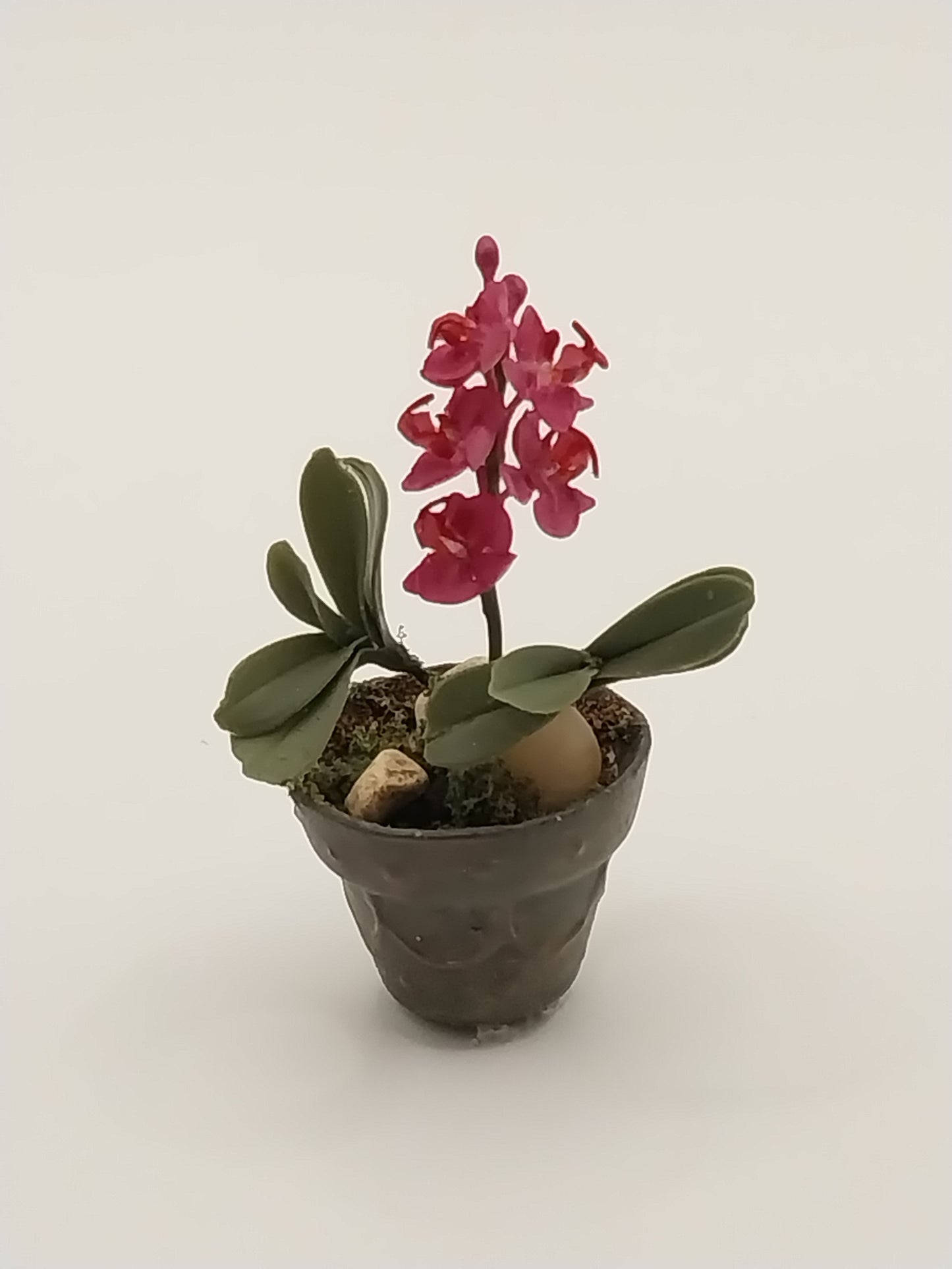 Fuchsia Orchid In Pot, Handmade