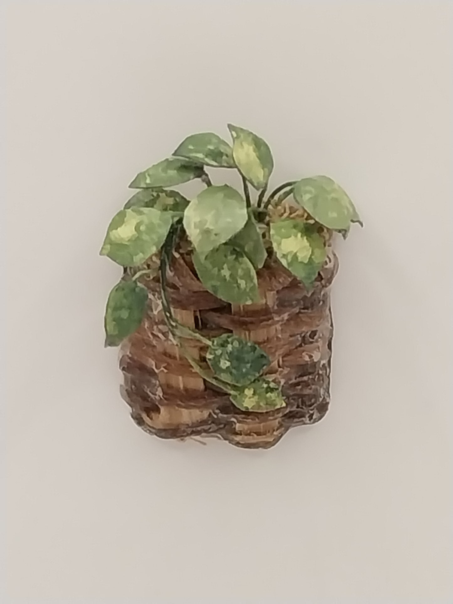 CRH967, Woven Wall Basket With Pothos