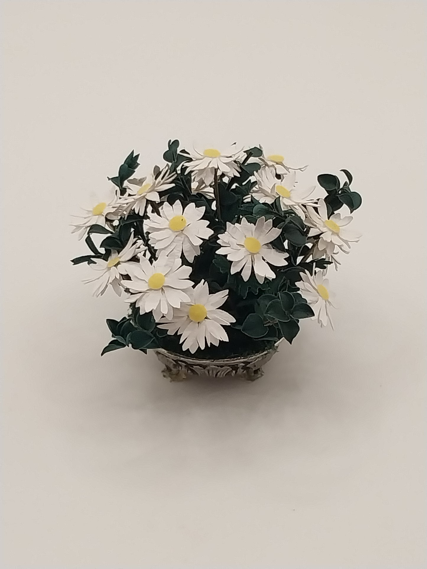 White Daisies In Pot, Artisan Made