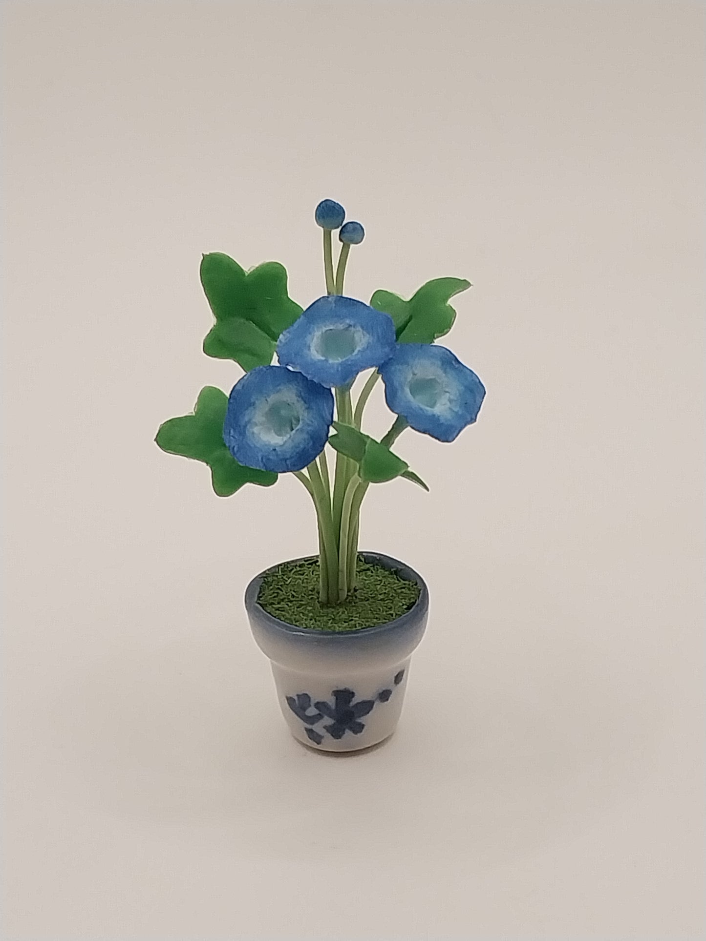 Morning Glories In Pot, Bright Blue