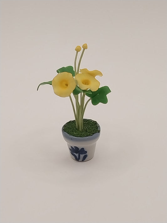 Morning Glories In Pot, Yellow