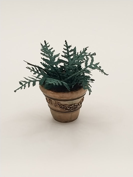 Small Fern Plant In Aged Decorative Pot