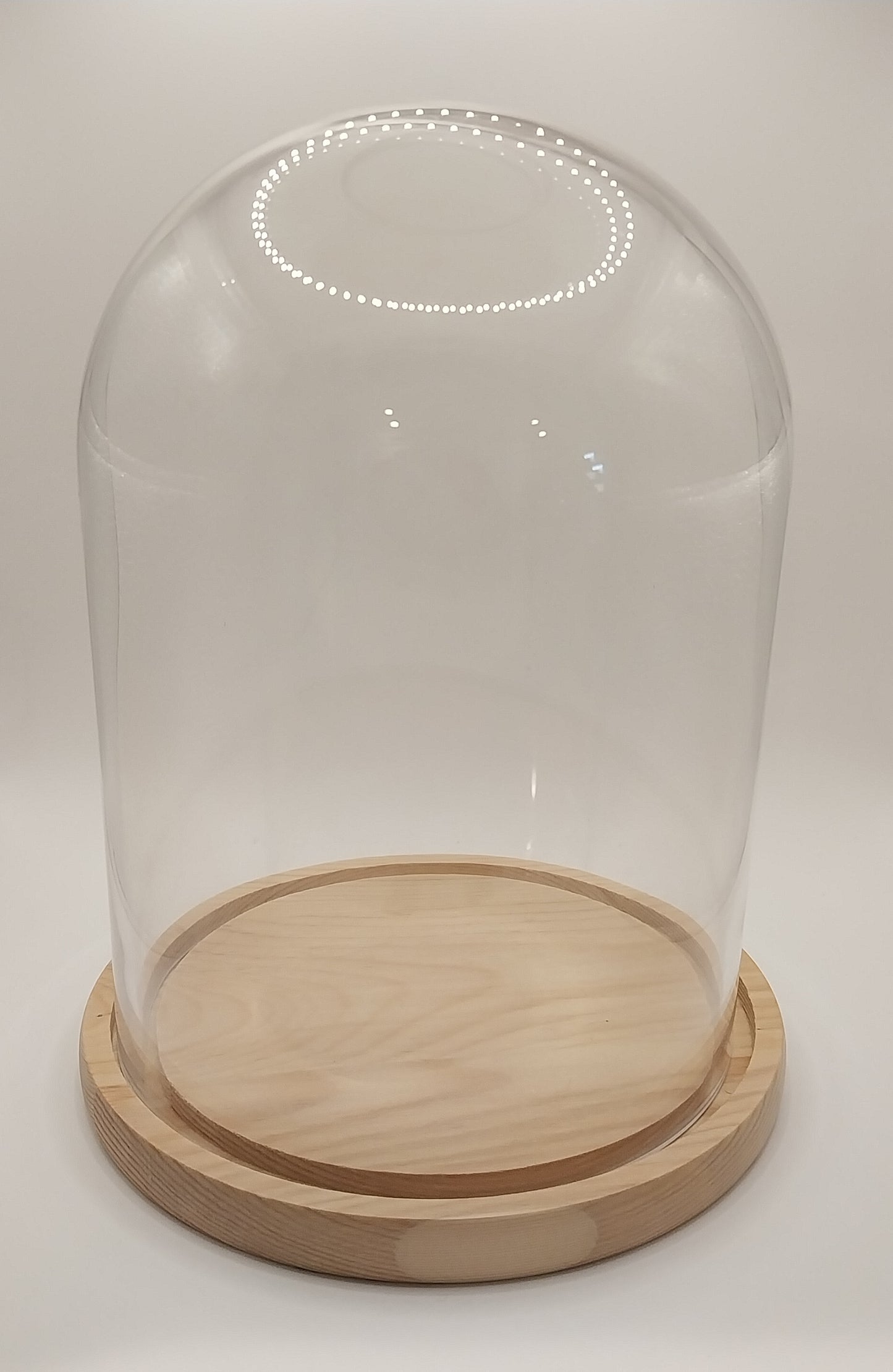 Glass Dome Display With Pine Base