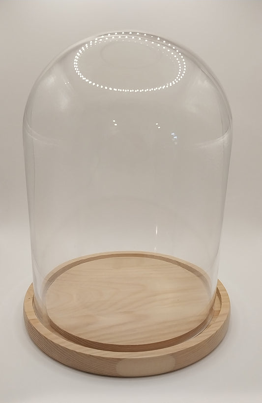 Glass Dome Display With Pine Base